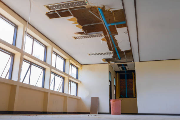 Best Professional water damage repair  in Geneva, FL