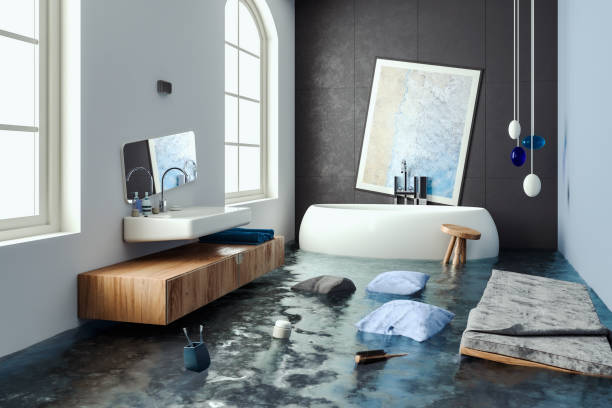 Best Water damage contractors near me  in Geneva, FL