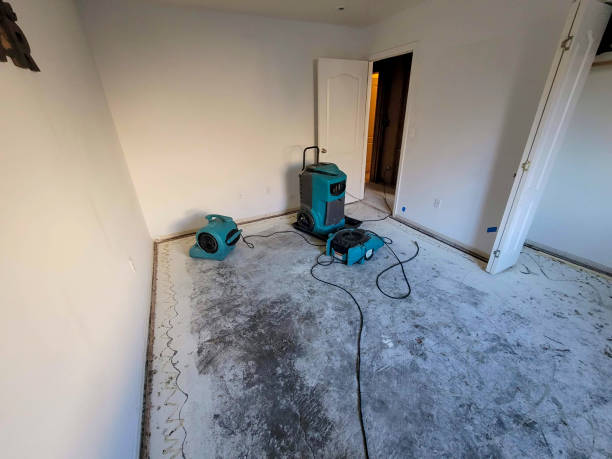Best Water damage restoration near me  in Geneva, FL
