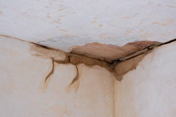 Best Water damage restoration cost  in Geneva, FL