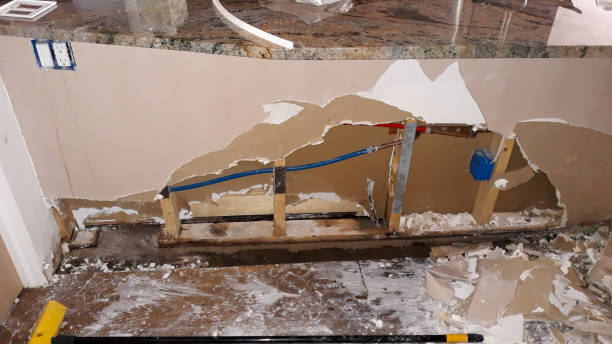 Best Local water damage restoration  in Geneva, FL