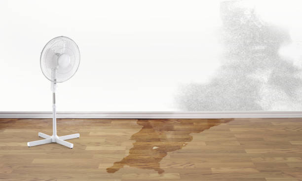 Best Commercial water damage restoration  in Geneva, FL