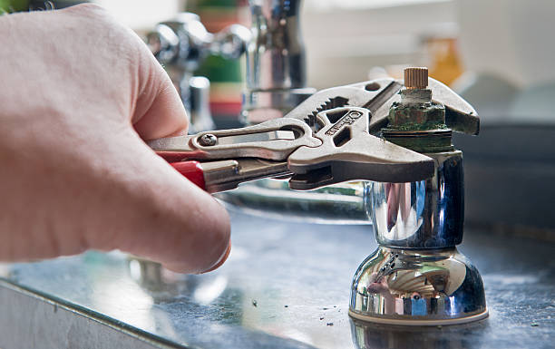Best Mold removal after water damage  in Geneva, FL