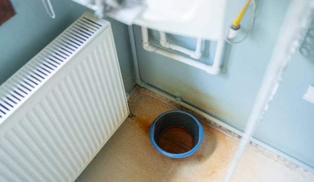Best Flood restoration services  in Geneva, FL
